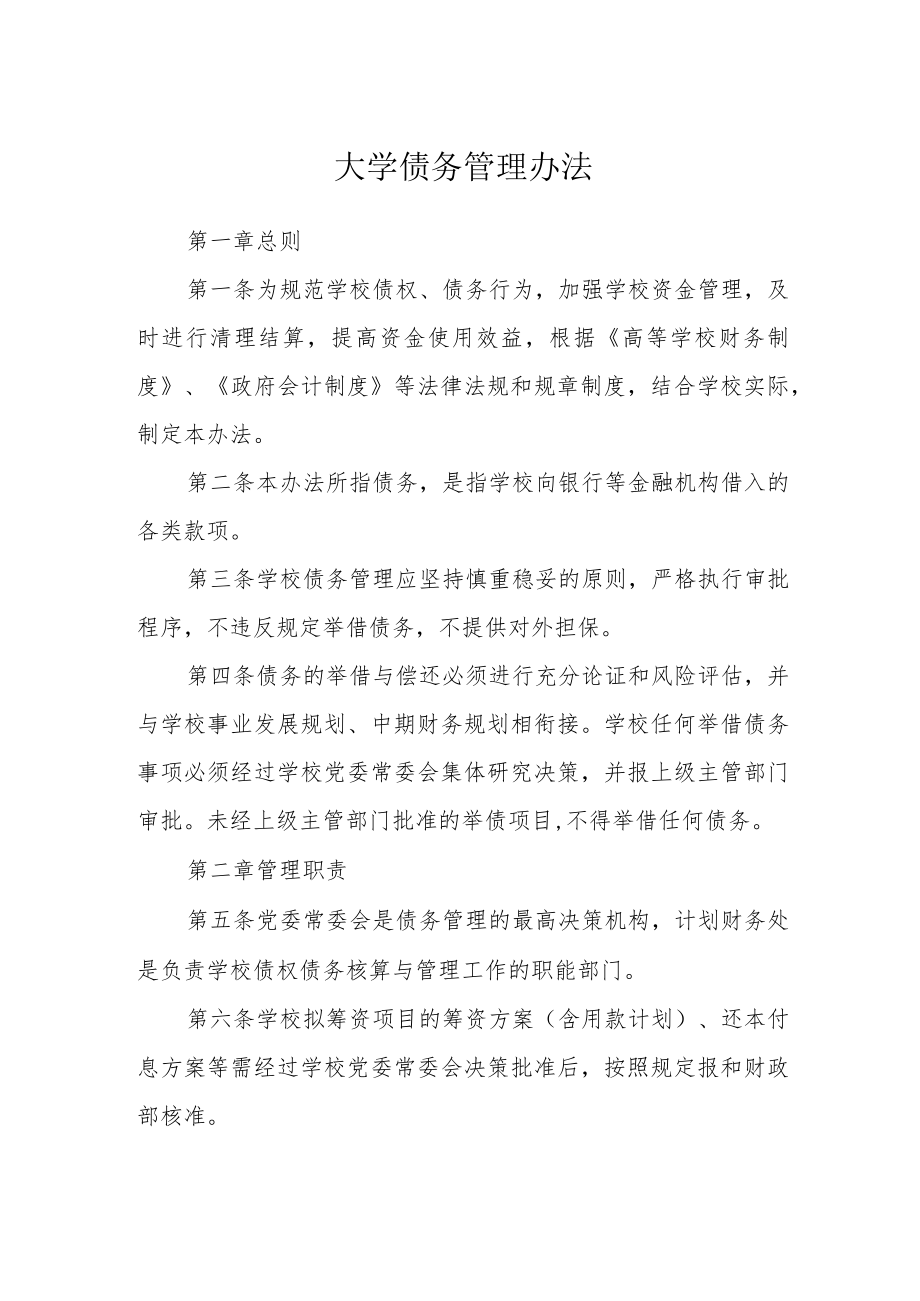 大学债务管理办法.docx_第1页