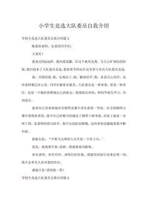 小学生竞选大队委员自我介绍.docx