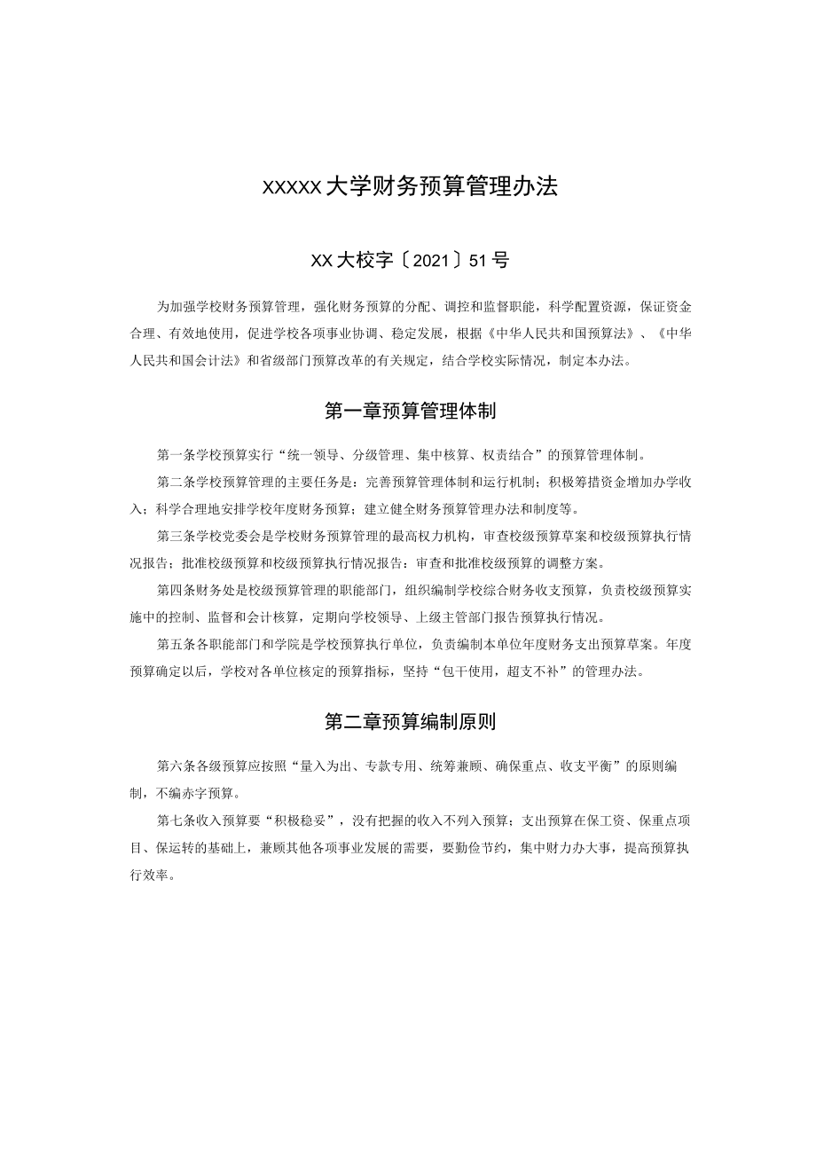 XXXXX大学财务预算管理办法.docx_第1页