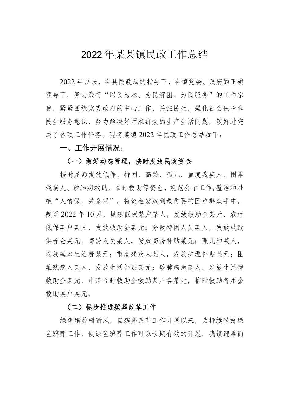 2022年某某镇民政工作总结.docx_第1页