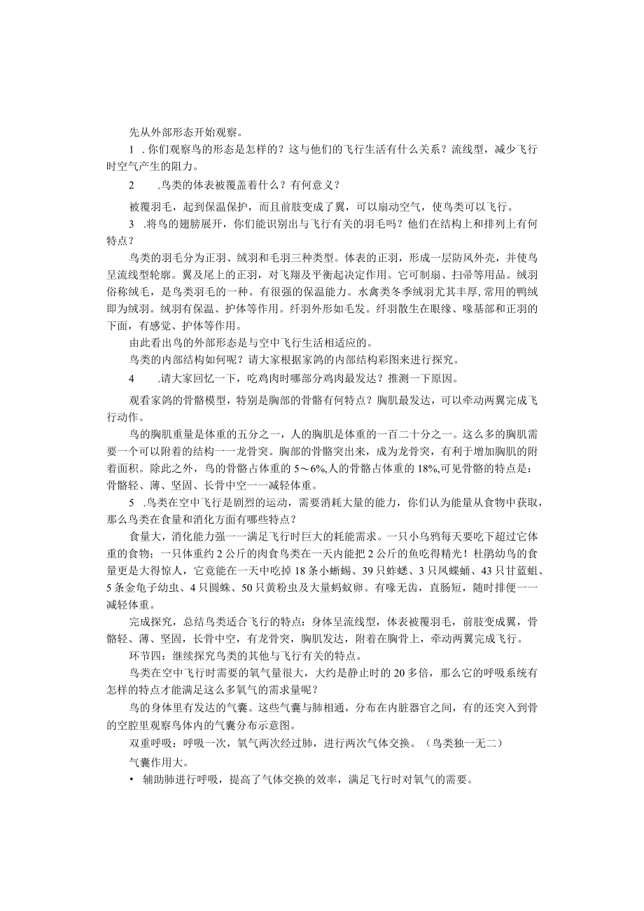 教学设计1：鸟.docx_第3页