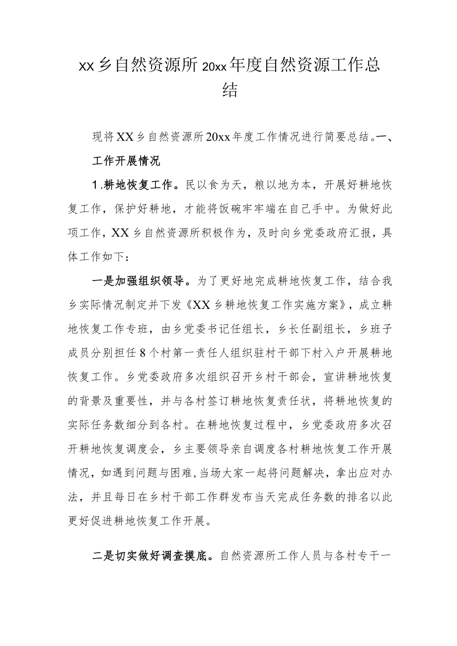 xx乡自然资源所20xx年度自然资源工作总结.docx_第1页