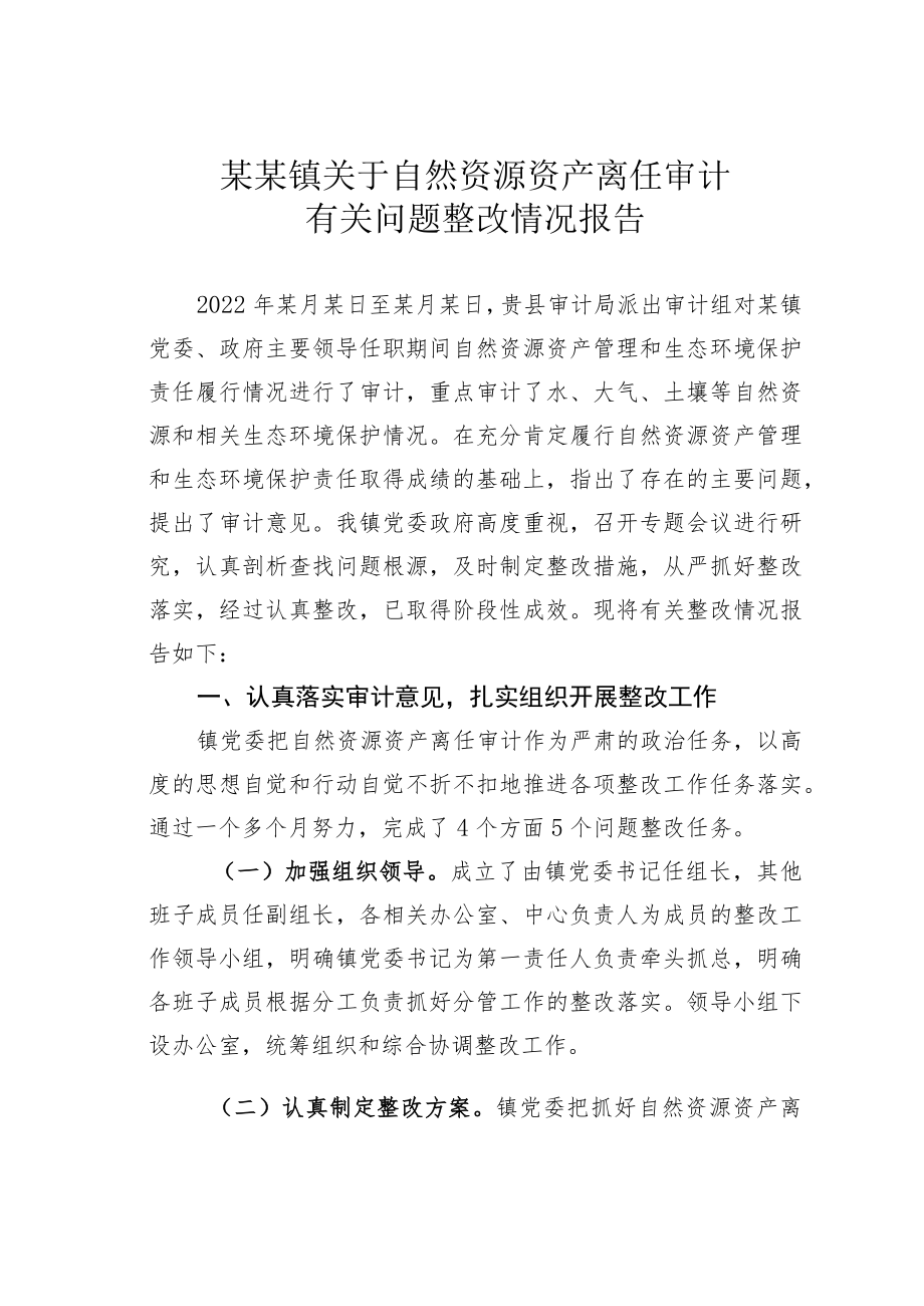 某某镇关于自然资源资产离任审计有关问题整改情况报告.docx_第1页