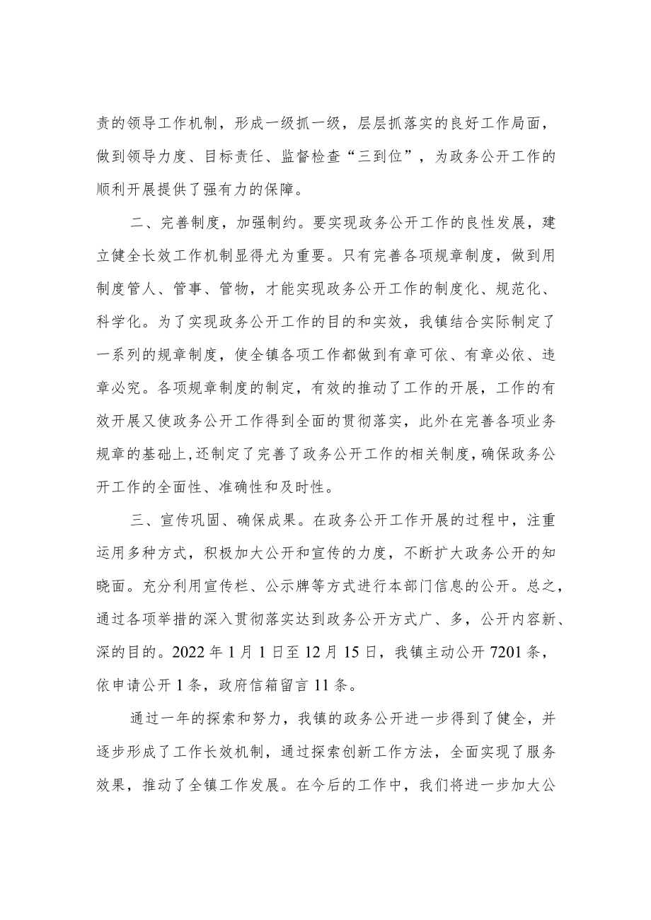 XX镇2022年政务公开工作总结.docx_第2页