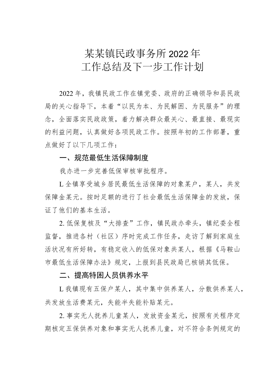 某某镇民政事务所2022年工作总结及下一步工作计划.docx_第1页