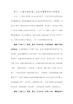 学习二十届中央纪委二次全会重要讲话心得体会.docx