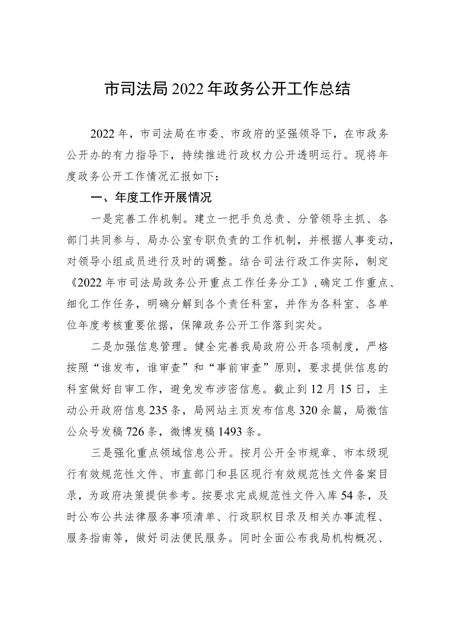 市司法局2022年政务公开工作总结（20221215）.docx_第1页