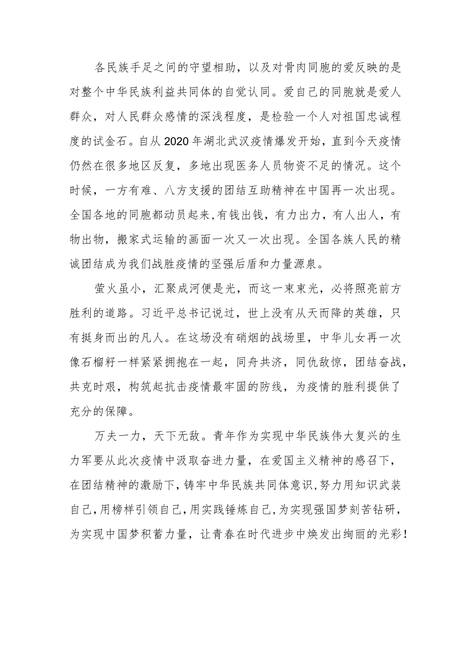 弘扬中华民族精神铸牢中华民族共同体意识.docx_第3页