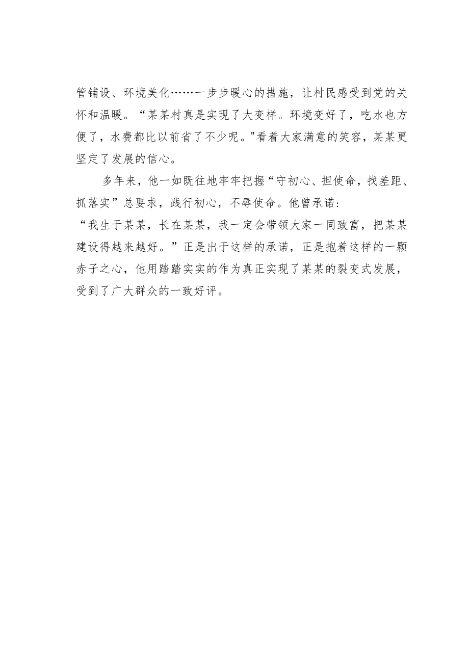 某某村党总支书记人大代表履职事迹材料.docx_第3页