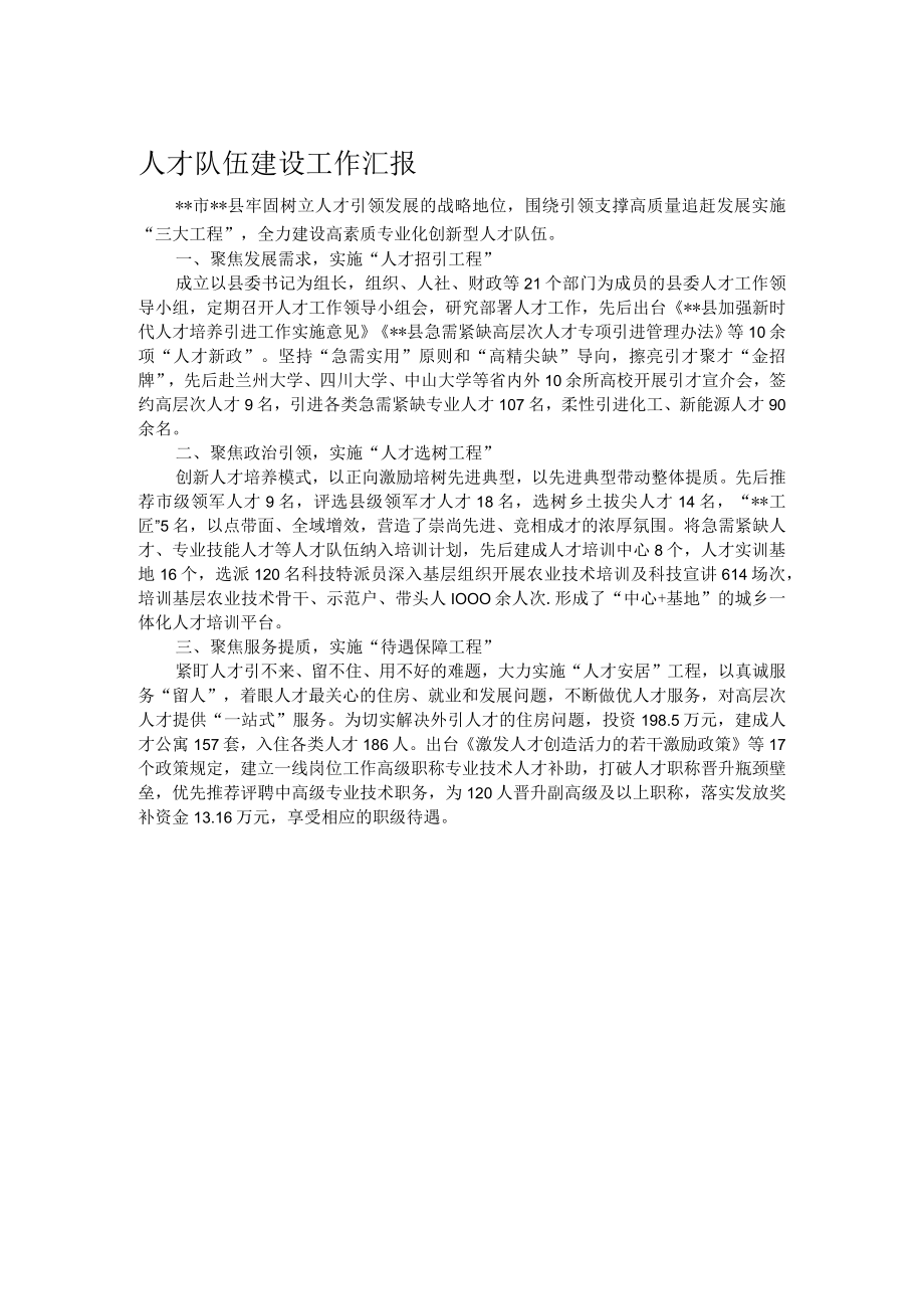 人才队伍建设工作汇报.docx_第1页