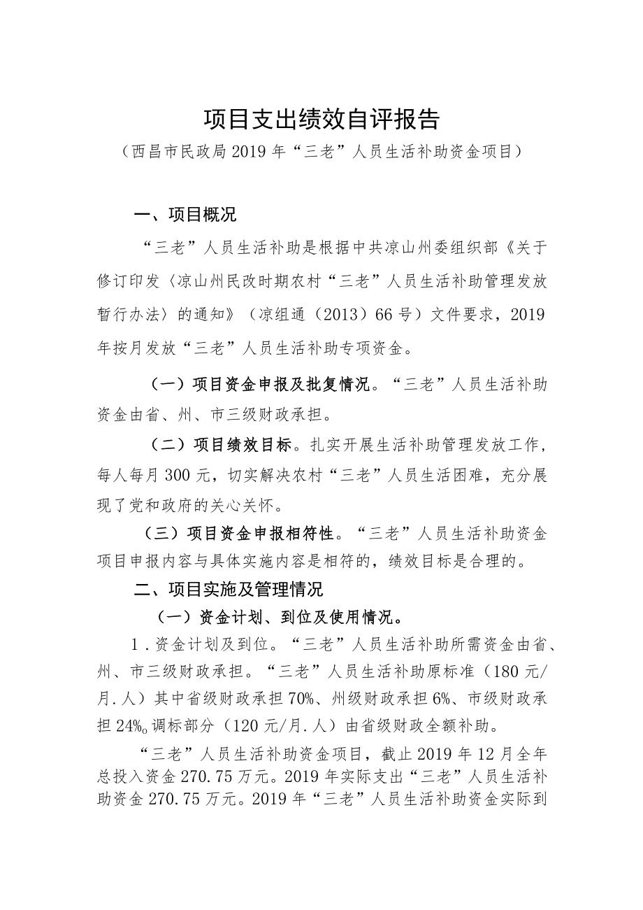 项目支出绩效自评报告.docx_第1页