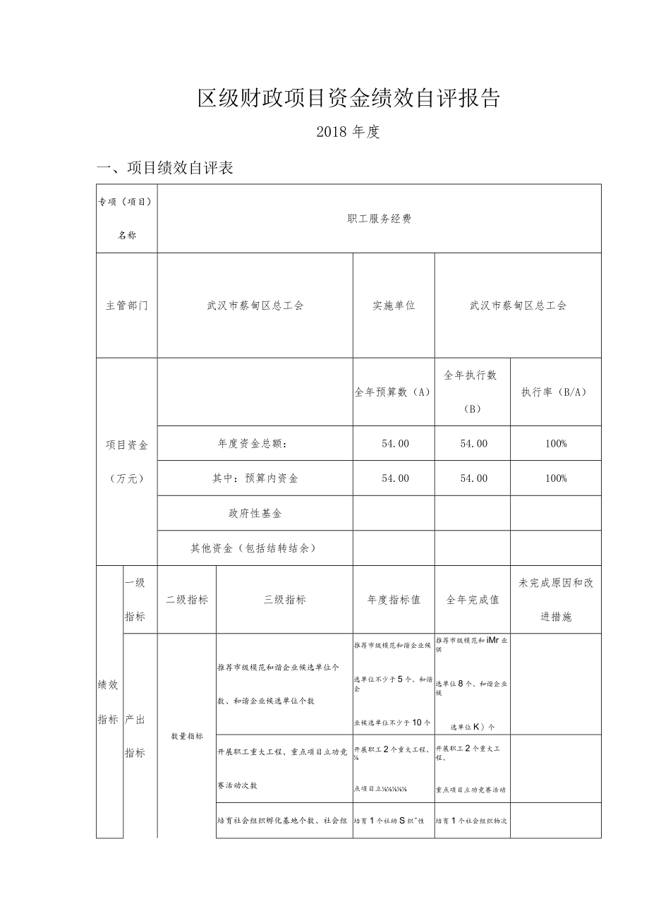 区级财政项目资金绩效自评报告.docx_第1页