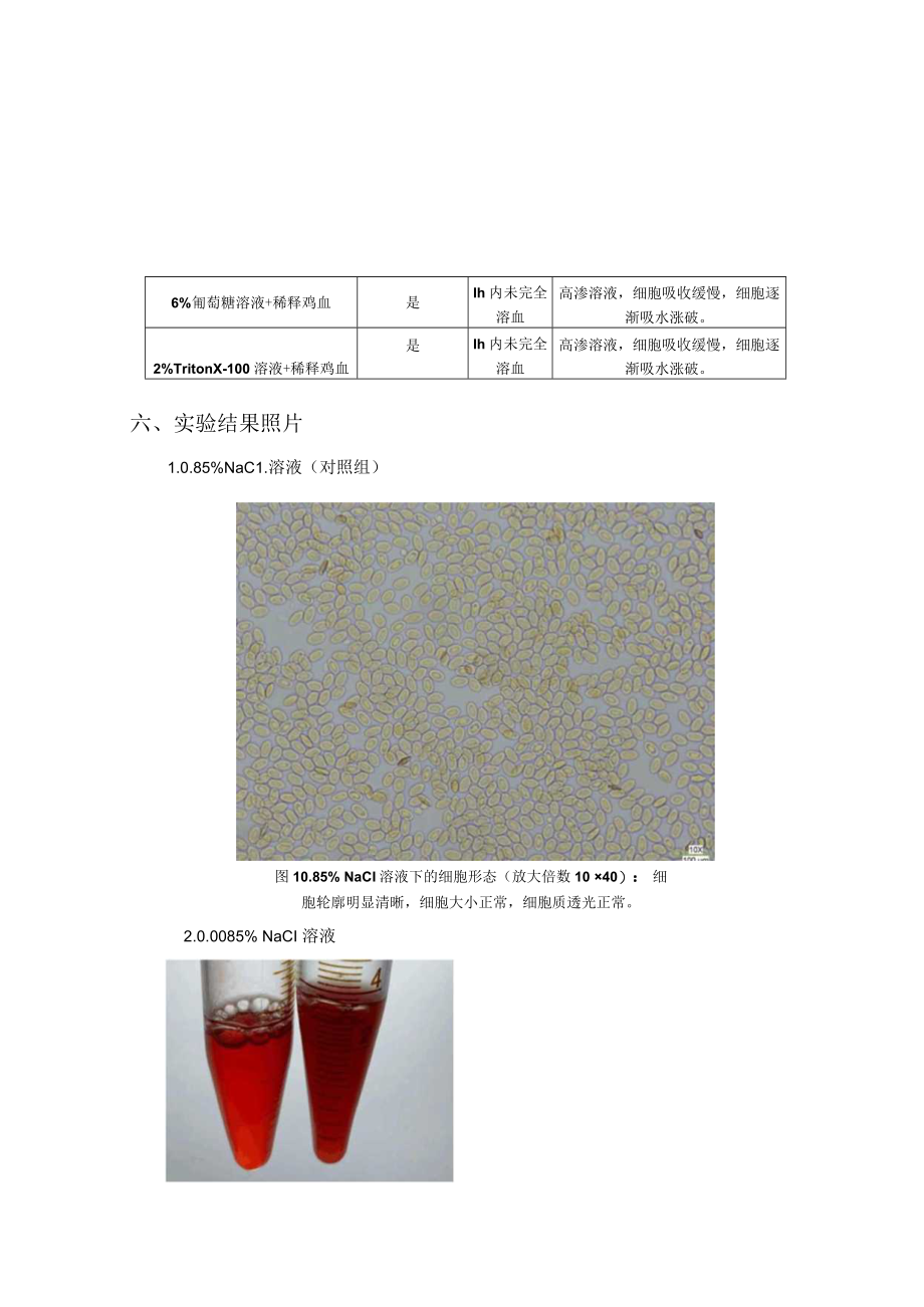 细胞通透性试验报告.docx_第3页