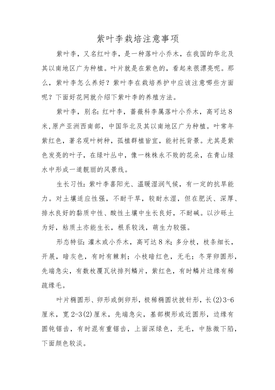 紫叶李栽培注意事项.docx_第1页