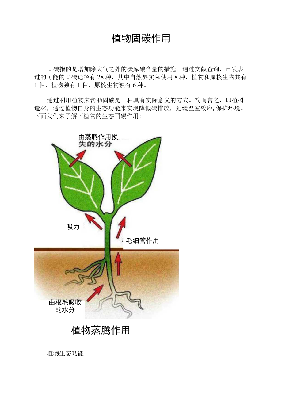 植物固碳作用.docx_第1页