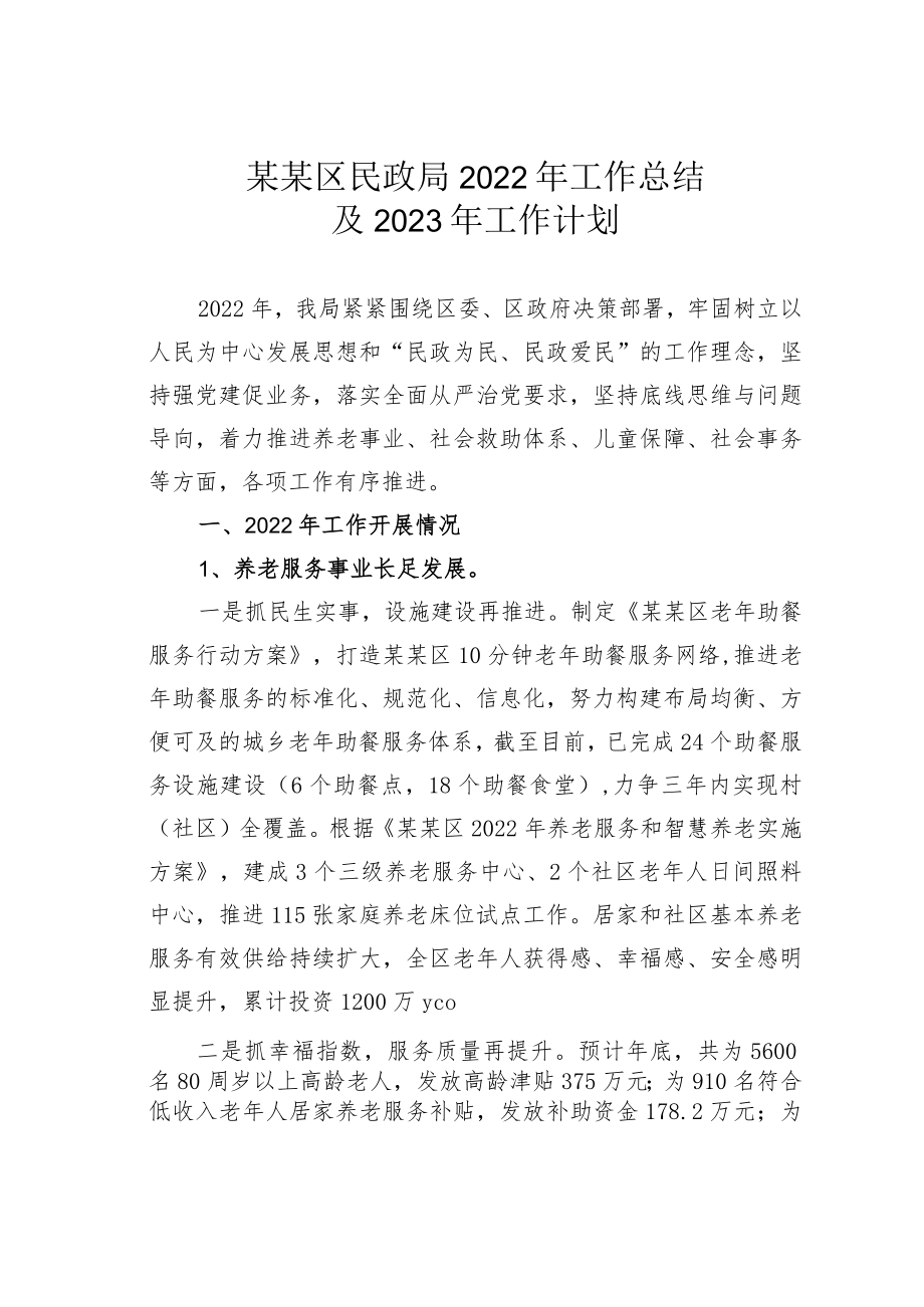 某某区民政局2022年工作总结及2023年工作计划.docx_第1页