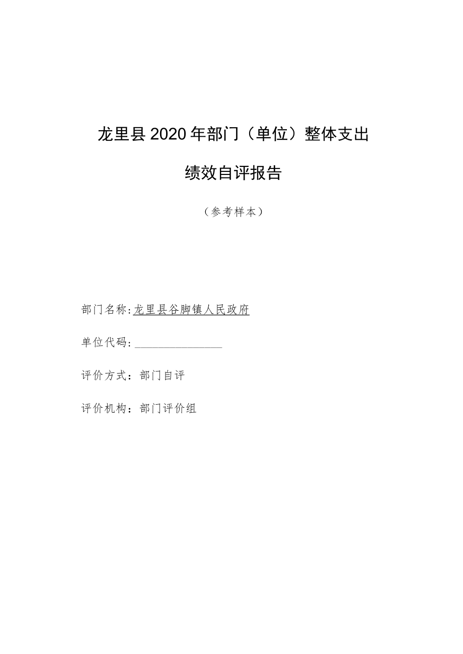 龙里县2020年部门单位整体支出绩效自评报告.docx_第1页