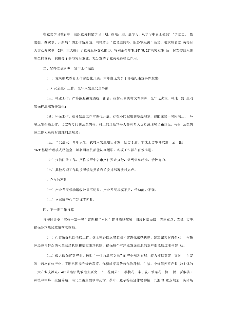 2022年村党支部书记述职材料.docx_第2页