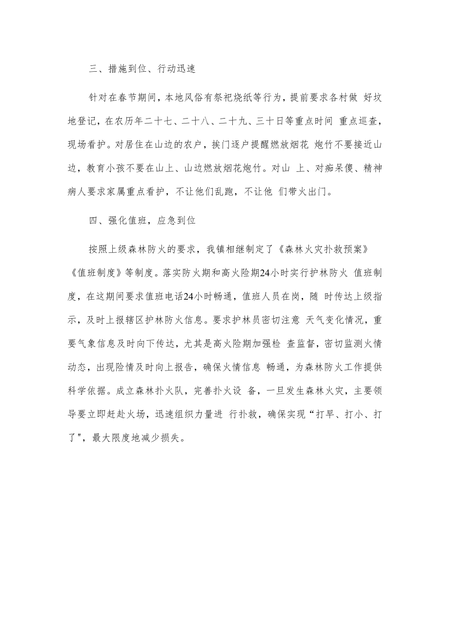 xxx镇关于上报春节期间森林防灭火工作总结的报告.docx_第2页