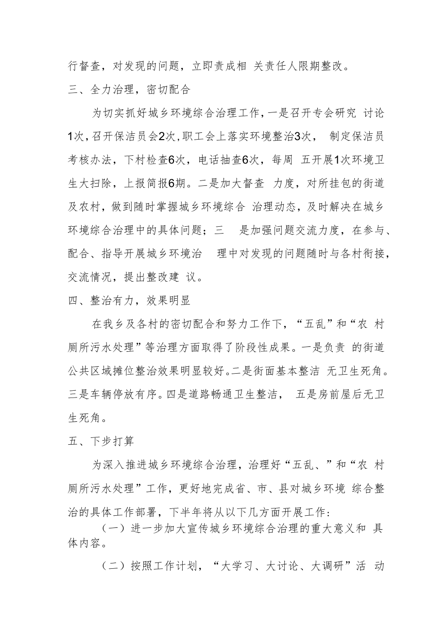 乡镇上半年城乡环境综合治理工作总结.docx_第2页