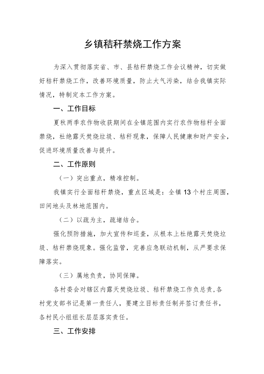 乡镇秸秆禁烧工作方案.docx_第1页