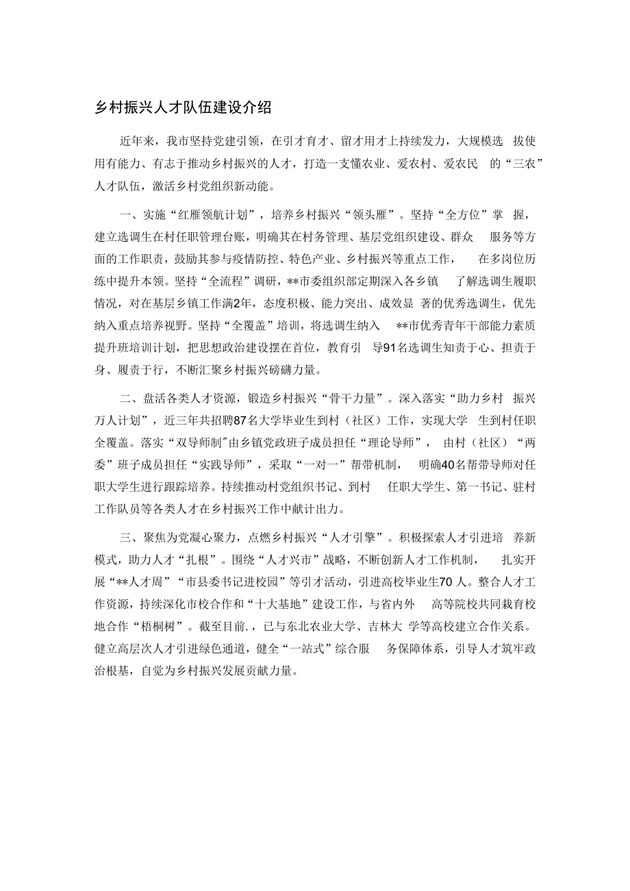 乡村振兴人才队伍建设介绍.docx_第1页