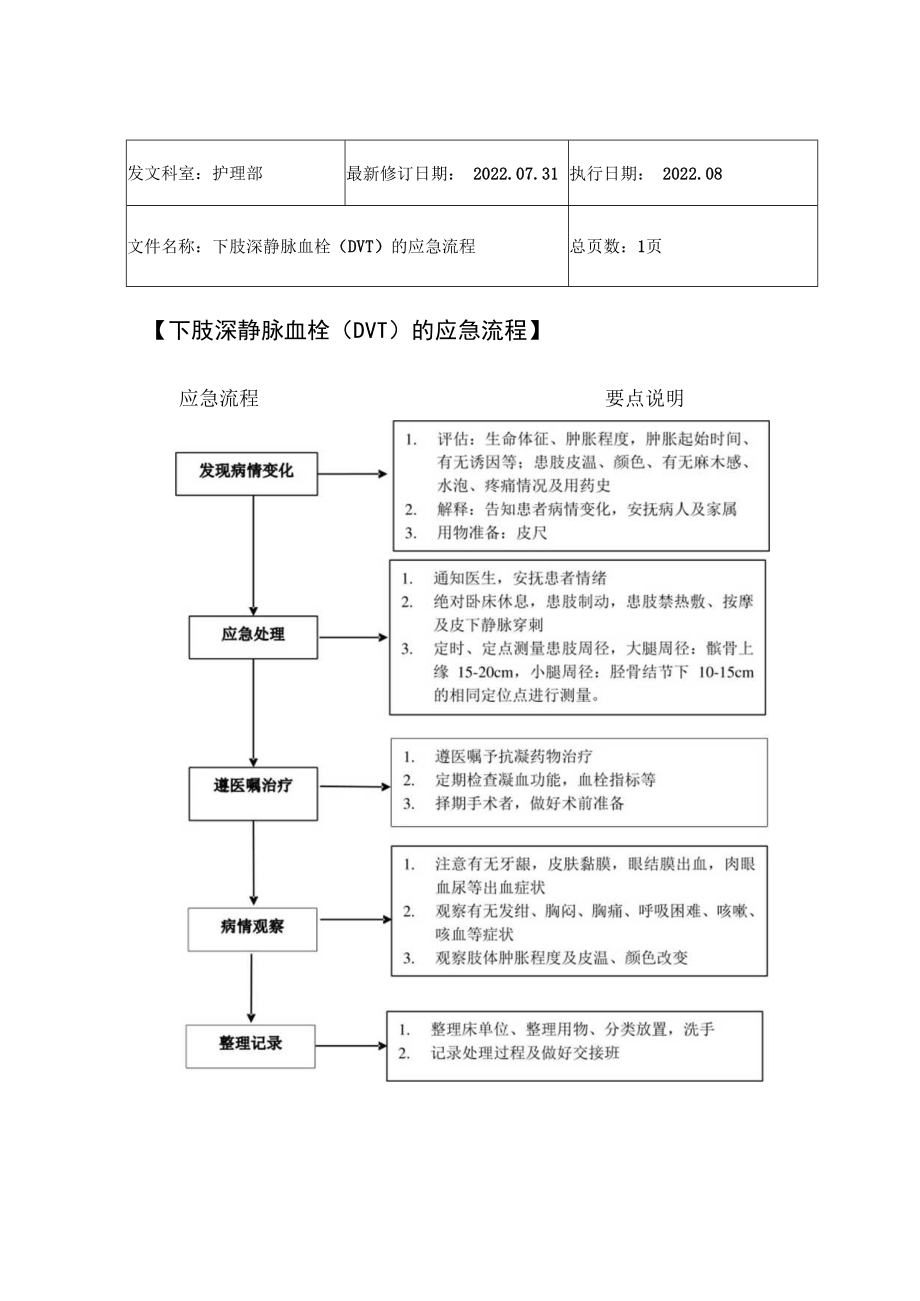 2022年9月《下肢深静脉血栓（DVT）的应急流程》.docx_第1页