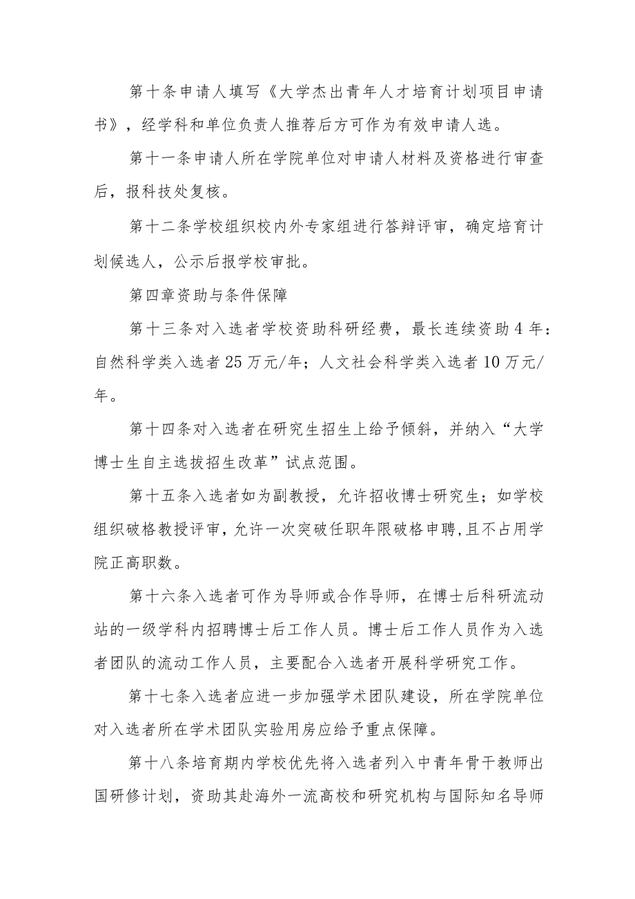 大学“杰出青年人才”培育计划实施办法.docx_第3页