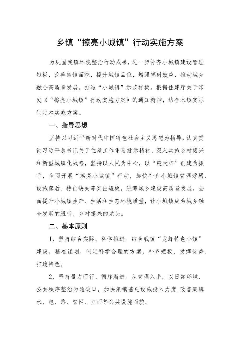 乡镇“擦亮小城镇”行动实施方案.docx_第1页