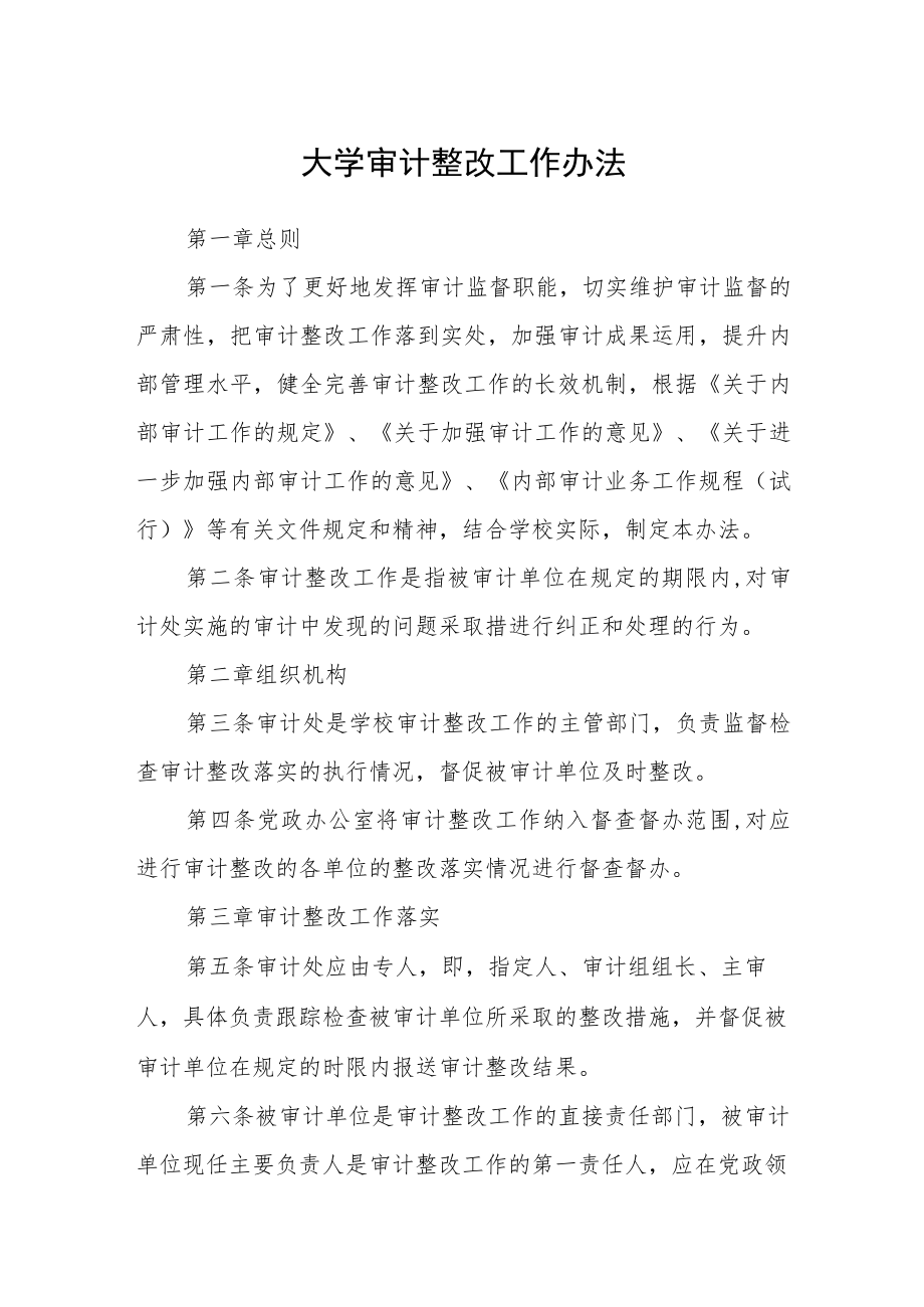 大学审计整改工作办法.docx_第1页