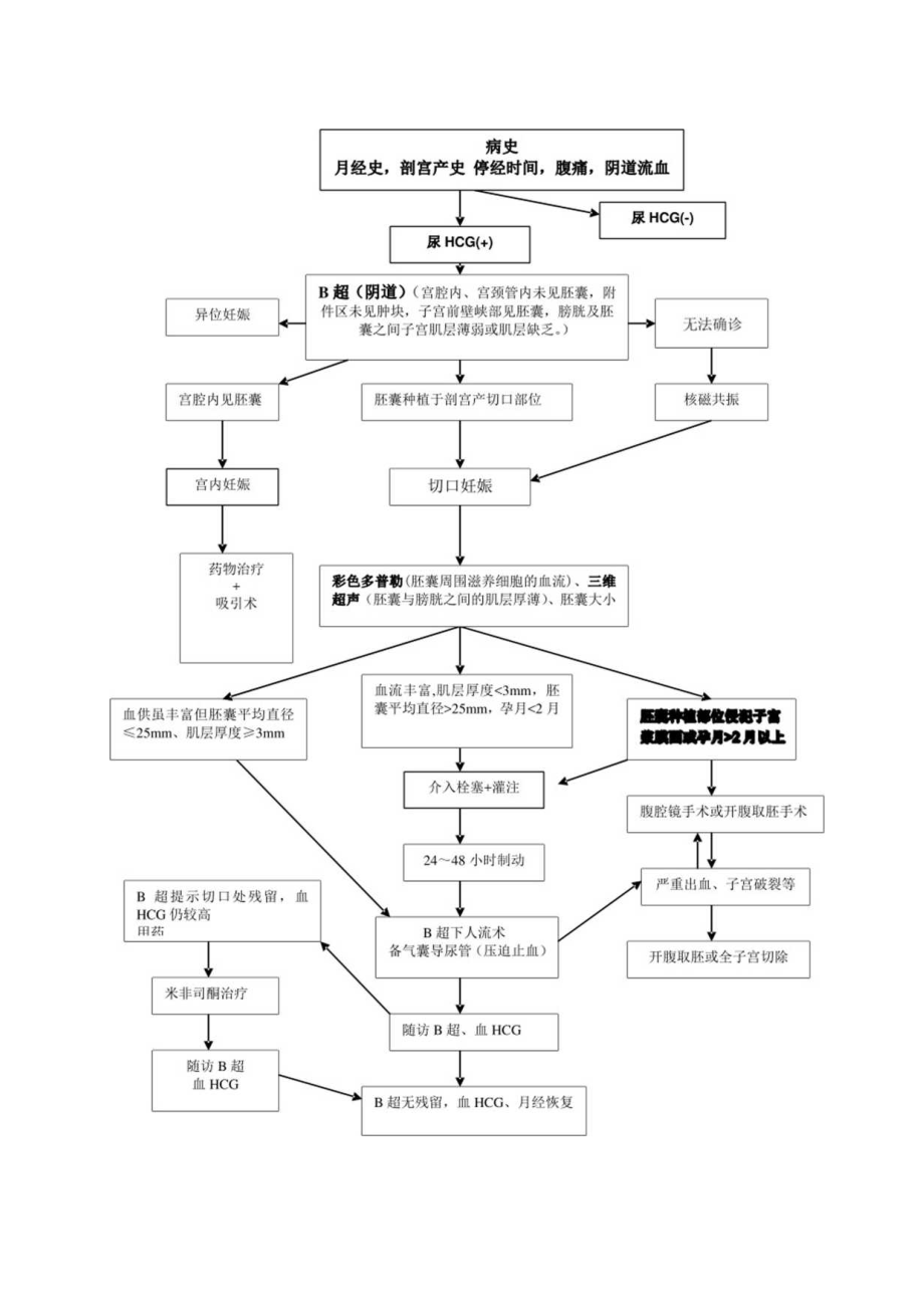 妇科剖宫产切口妊娠操作规范.docx_第2页