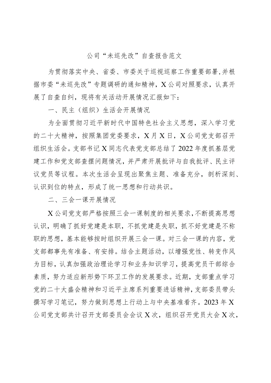 公司“未巡先改”自查报告范文·三会一课发展党员党费企业工作汇报总结.docx_第1页