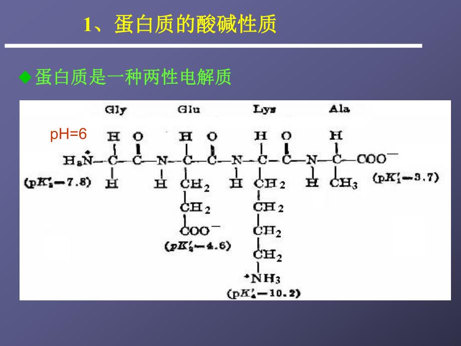 第03章蛋白质的通性、纯化与表征.ppt_第2页