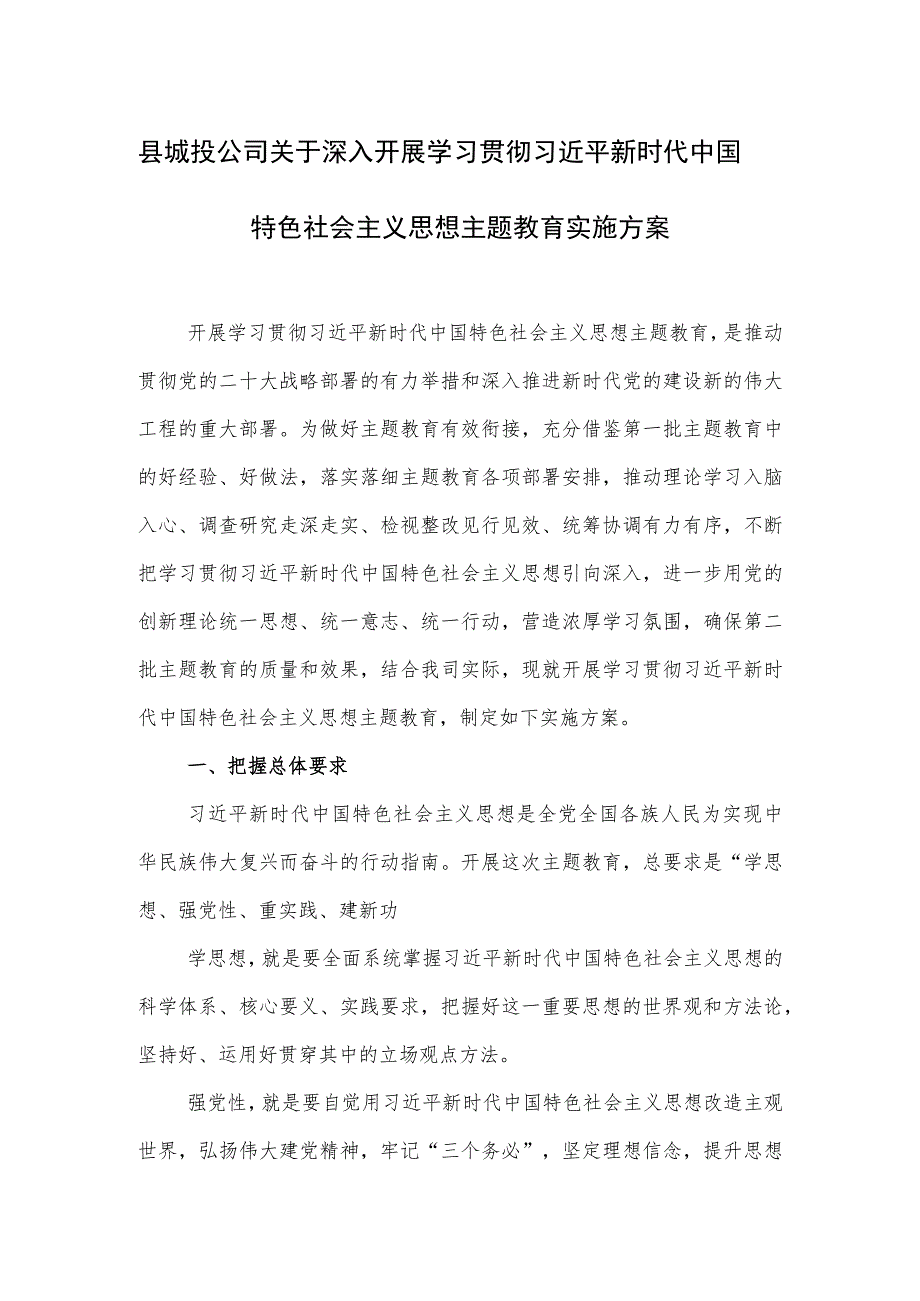 县城投公司学习贯彻主题教育实施方案.docx_第1页