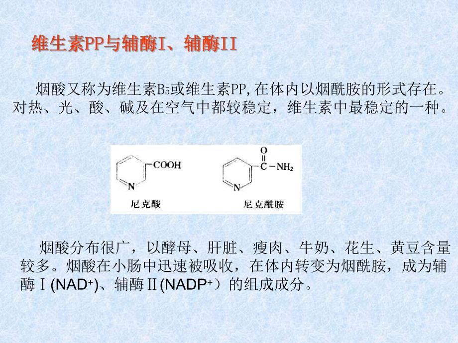 水溶性维生素与辅酶.ppt_第3页