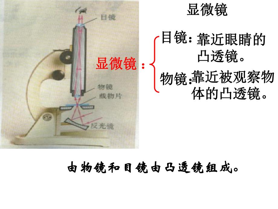 显微镜和望远镜ppt.ppt_第2页