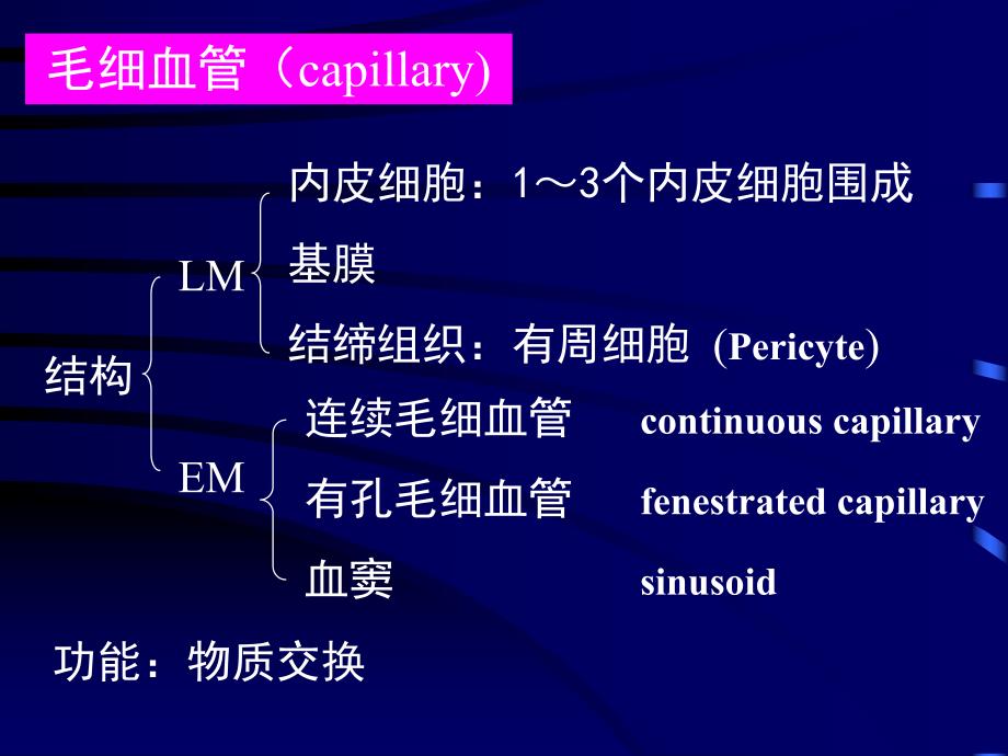 循环系统课件.ppt_第3页