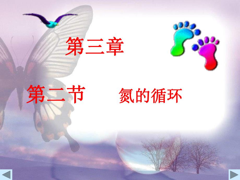 氮的循环课件.ppt_第1页