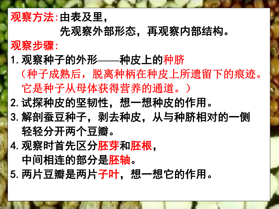 植物的生长发育.ppt_第3页