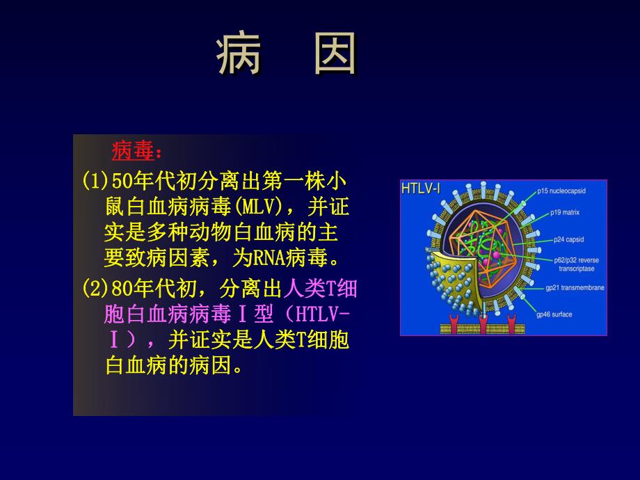 白血病是一类造血干细胞的恶性克隆性疾病.ppt_第3页