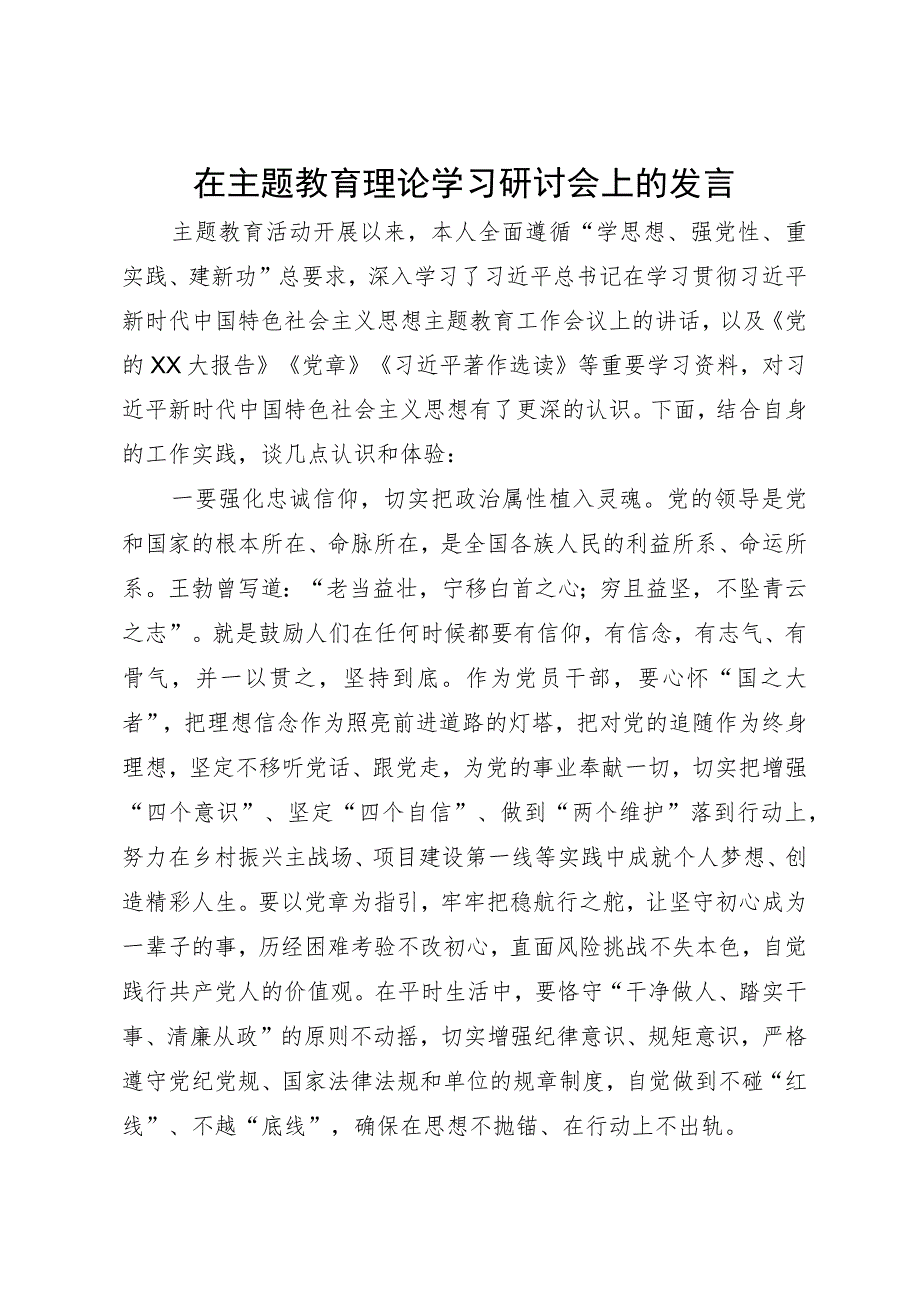 在主题教育理论学习研讨会上的发言.docx_第1页