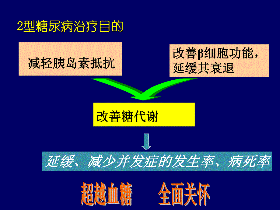 磺脲类药物的临床应用名师编辑PPT课件.ppt_第2页