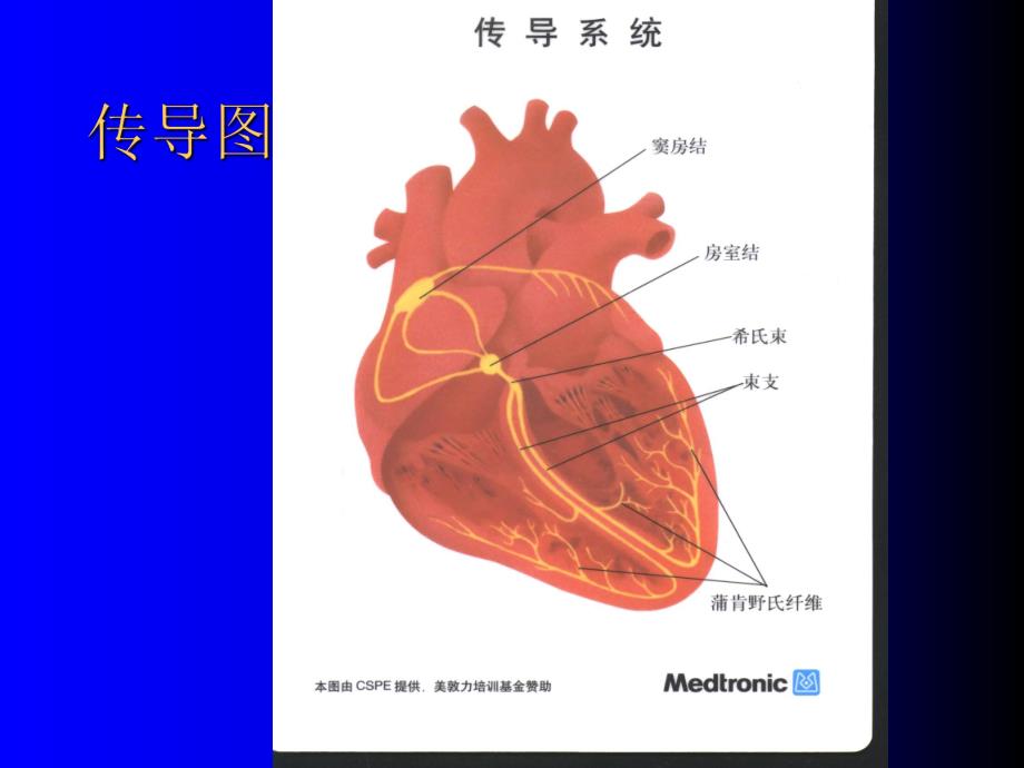 循环系统疾病.心律失常1x.ppt_第2页