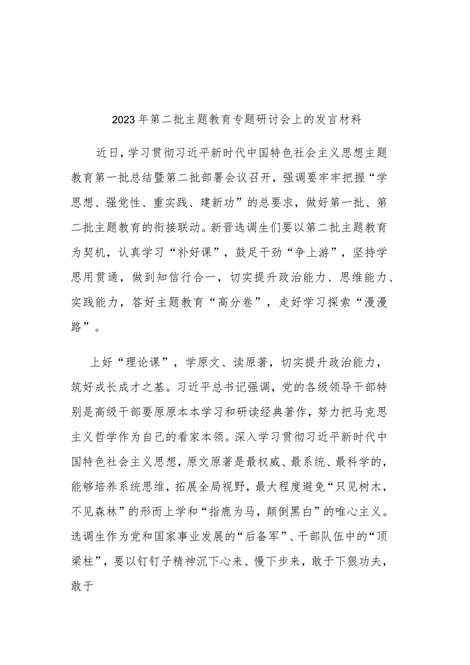 2023年第二批主题教育专题研讨会上的发言材料.docx_第1页