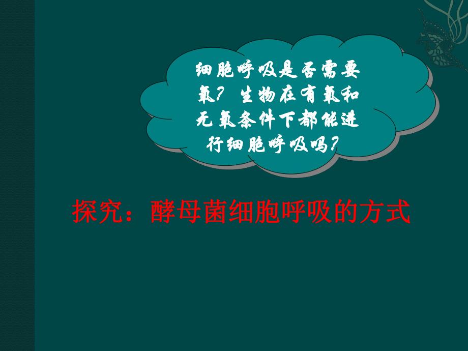 探究酵母菌细胞呼吸的方式qu.ppt_第2页