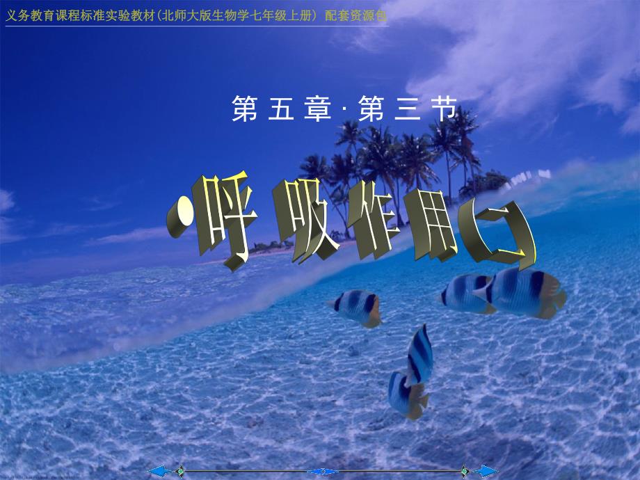 植物细胞都能进行呼吸与呼吸作用的原理.ppt_第1页