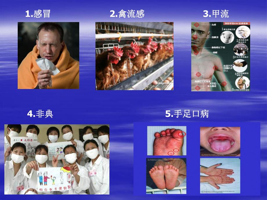 病理生理学课件发热.ppt_第2页