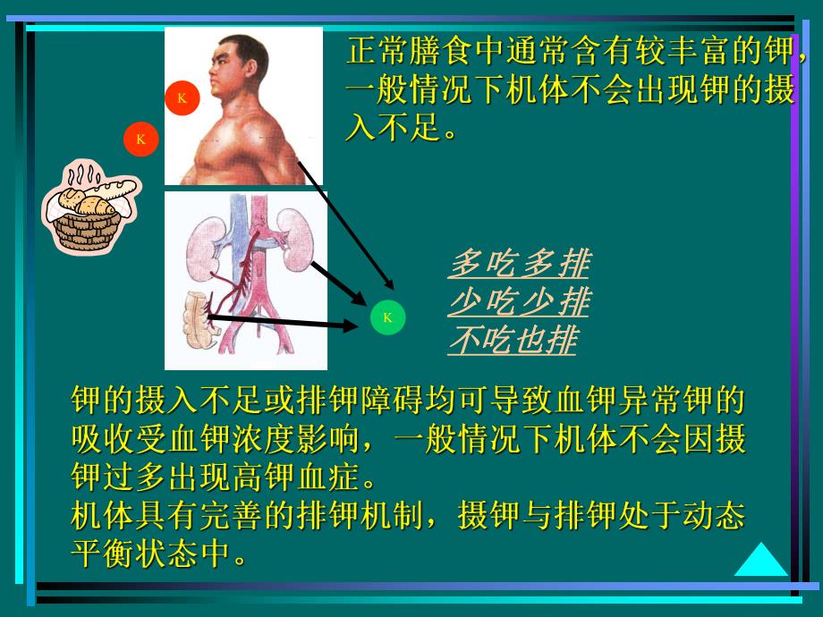 病生钾代谢名师编辑PPT课件.ppt_第3页