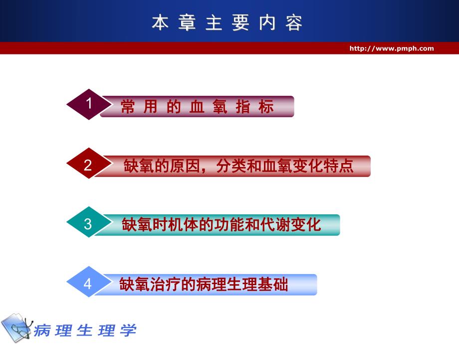 病理学缺氧.ppt_第2页