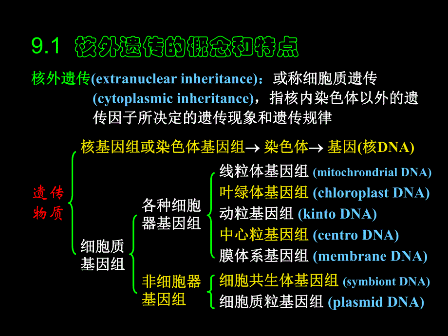 第10章核外遗传.ppt_第2页